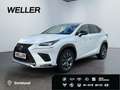 Lexus NX 300h E-FOUR F SPORT *Matrix*360°*Levinson*Pano* Blanc - thumbnail 1