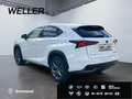 Lexus NX 300h E-FOUR F SPORT *Matrix*360°*Levinson*Pano* Wit - thumbnail 7
