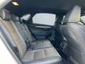 Lexus NX 300h E-FOUR F SPORT *Matrix*360°*Levinson*Pano* Wit - thumbnail 20