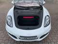 Porsche Boxster 981 Boxster*Scheckheft*Wenig-KM*Navi*Leder*Schalt Weiß - thumbnail 10