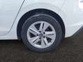 Volkswagen Golf 1.5 TSI Life 96kW Blanco - thumbnail 15