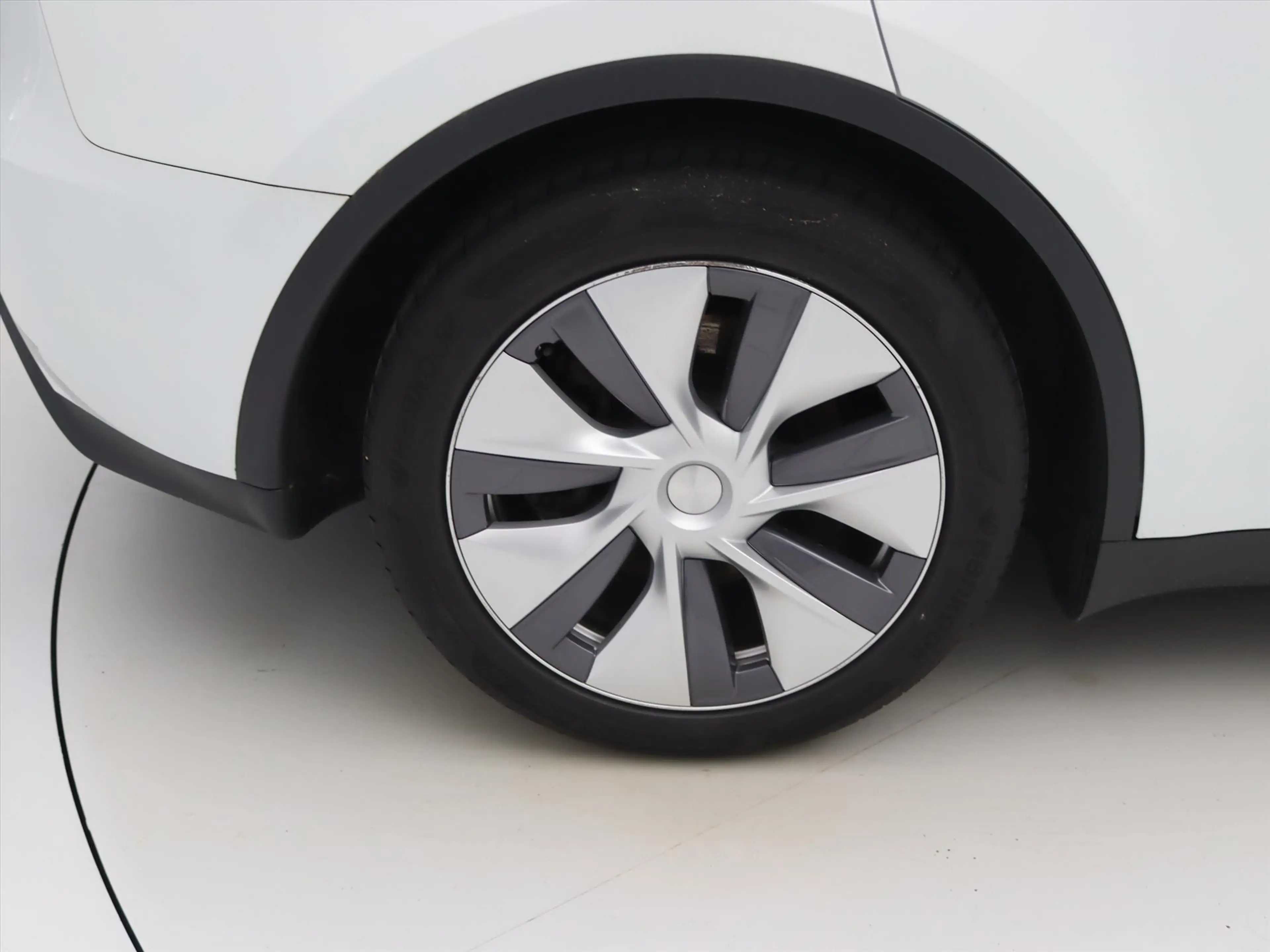 Tesla Model Y Standard RWD Plus 351pk 94.9% SoH [ TREKHAAK+RYZEN — photo 10
