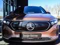 Mercedes-Benz EQA 250 Advanced-Paket Progressive/Kamera Gold - thumbnail 11