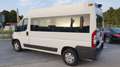 Peugeot Boxer Bus 2.2HDI 333 L2H2 120 Blanco - thumbnail 4