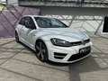 Volkswagen Golf VII R 2.0 TSI DSG 4M Xen Nav RFK Leder DCC Weiß - thumbnail 4