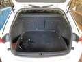 Skoda Octavia Combi Scout 2.0TSI 4x4 DSG / Standh, AHK Weiß - thumbnail 10