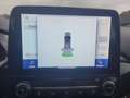 Ford Puma 1.0 EcoBoost 125ch mHEV Titanium 7cv Blauw - thumbnail 15