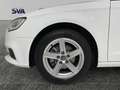 Audi A3 30 1.6 Tdi 116CV S-tronic Business Bianco - thumbnail 6