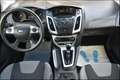 Ford Focus Champions Edition 2.-Hand AHK Garantie Grau - thumbnail 12