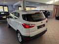 Ford EcoSport 1.5 110 CV Business Bianco - thumbnail 12