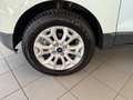 Ford EcoSport 1.5 110 CV Business Bianco - thumbnail 5