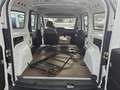Fiat Doblo Basis Maxi Kasten Blanc - thumbnail 10
