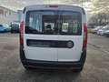 Fiat Doblo Basis Maxi Kasten Blanc - thumbnail 8