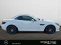 Mercedes-Benz SLC 300 SLC 300 COMAND*MEMORY*KAMERA*ILS*TOTW*SOUND*SHZ Bianco - thumbnail 6