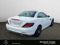Mercedes-Benz SLC 300 SLC 300 COMAND*MEMORY*KAMERA*ILS*TOTW*SOUND*SHZ Bianco - thumbnail 5