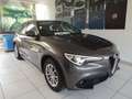 Alfa Romeo Stelvio 2.2 Turbodiesel 160 CV AT8 RWD Business Grigio - thumbnail 1