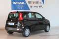 Fiat Panda Pandina Urban 1.0 MildHybrid *CityPaket* Schwarz - thumbnail 2