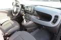 Fiat Panda Pandina Urban 1.0 MildHybrid *CityPaket* Schwarz - thumbnail 12