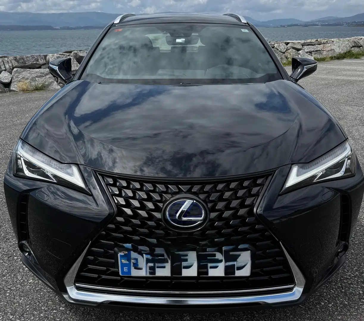 Lexus UX 250h UX 250h Business Navigation 2WD Negro - 1