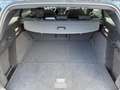 Ford Focus ST-Line X+Abstandstempomat+Navi+Kamera+Sitzheizung Bleu - thumbnail 12