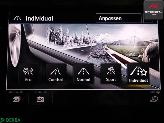 Volkswagen Tiguan view 18
