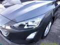 Ford Focus Focus SW 1.5 ecoblue Business Co-pilot s Grigio - thumbnail 15
