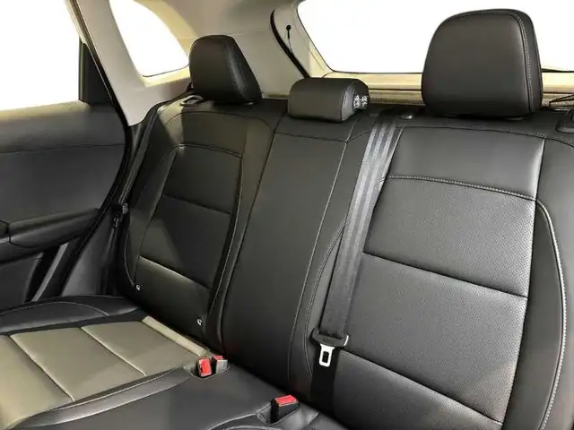 MG ZS view 9