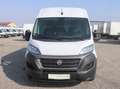 Fiat Ducato Maxi L4H2 Kasten /€ 19.000,- netto / KAMERA Weiß - thumbnail 2