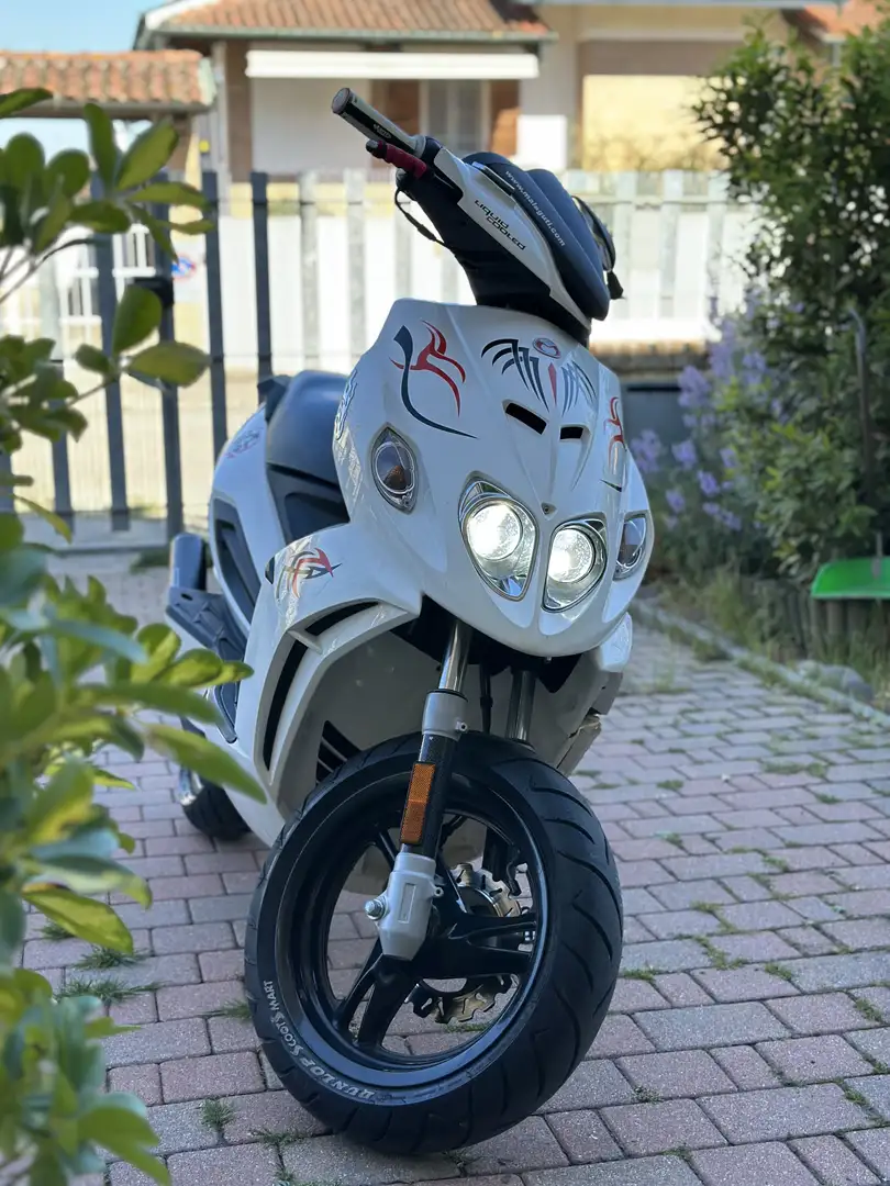 Malaguti Phantom LC Tribal - 1