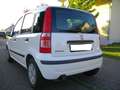 Fiat Panda *Automatik*nur 49`tkm*1.Hand*in tollem Zustand* Weiß - thumbnail 4