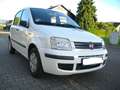 Fiat Panda *Automatik*nur 49`tkm*1.Hand*in tollem Zustand* Weiß - thumbnail 2