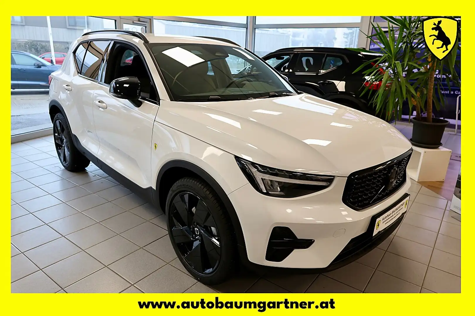 Volvo XC40 B3 Plus Dark Aut. Black Edition Weiß - 1
