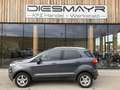 Ford EcoSport 1,0 EcoBoost Titanium Grau - thumbnail 2