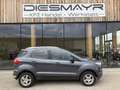 Ford EcoSport 1,0 EcoBoost Titanium Grau - thumbnail 6
