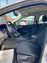 Ford Focus 1.5Tdci BUSINESS 120cv BLUETOOTH CRUISE SENSORI Grey - thumbnail 13