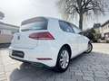 Volkswagen Golf Highline 2,0 TDI**R-Line** Weiß - thumbnail 17