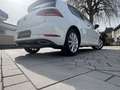 Volkswagen Golf Highline 2,0 TDI**R-Line** Weiß - thumbnail 6
