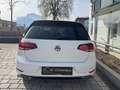 Volkswagen Golf Highline 2,0 TDI**R-Line** Weiß - thumbnail 9