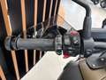 BMW R 1250 R R 1250 Exclusive Braun - thumbnail 5