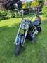 Harley-Davidson Fat Boy Flstf Сірий - thumbnail 9