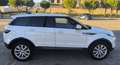 Land Rover Range Rover Evoque 2.0TD4 SE 4WD 150 Blanco - thumbnail 8