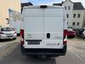 Citroen Jumper 30 L2H2 Profi BlueHDi 130/Kamera/Temp./Klima/AHK Weiß - thumbnail 5