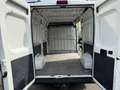Citroen Jumper 30 L2H2 Profi BlueHDi 130/Kamera/Temp./Klima/AHK Weiß - thumbnail 10