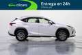 Lexus NX 300h Business Navigation 2WD Blanco - thumbnail 7
