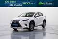 Lexus NX 300h Business Navigation 2WD Blanco - thumbnail 1
