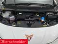 CUPRA Born 58 kWh ACC WÄPU SHZ CAM Weiß - thumbnail 22