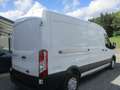 Ford Transit 2.0 TDCi L3H2 Trend  zéro KILOMETRE Blanc - thumbnail 3
