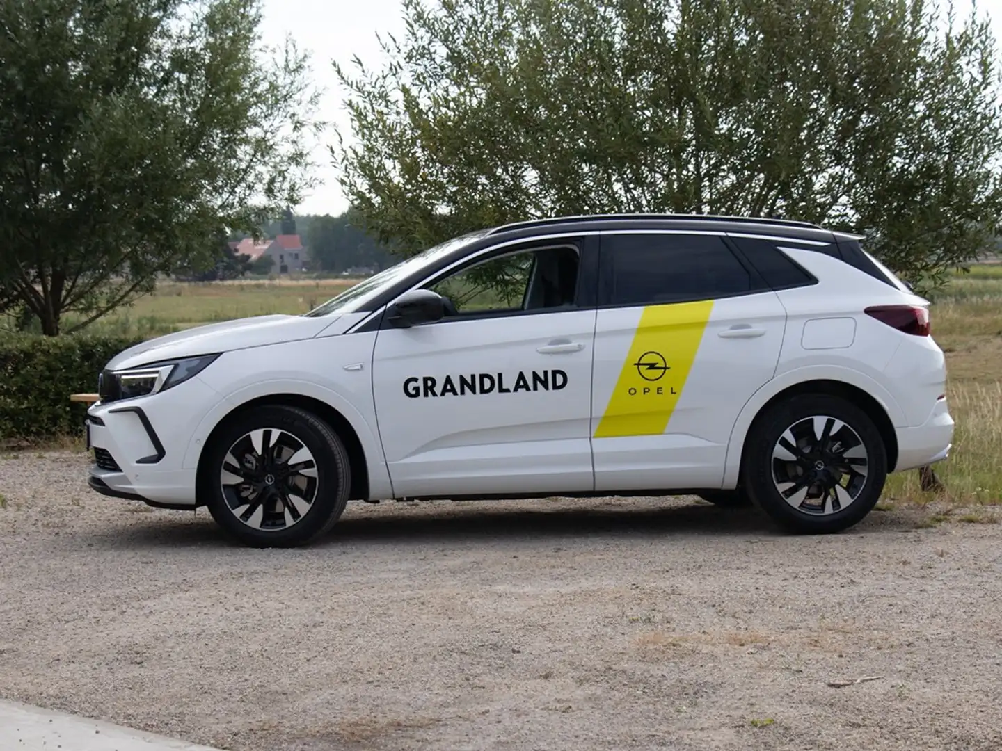 Opel Grandland Hybride* BusinessElegance*Hybride*Alcantara*224pk Wit - 2