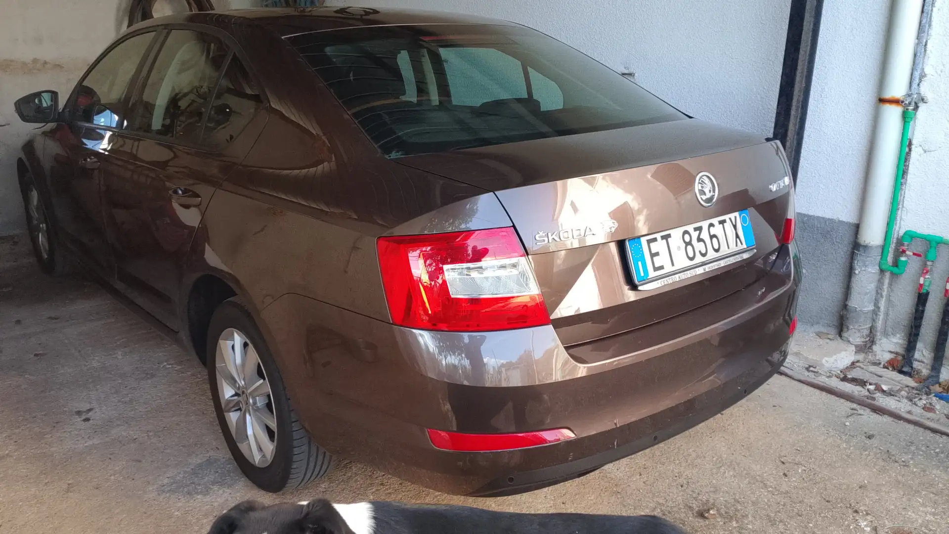 Skoda Octavia Octavia III 2014 Berlina 1.6 tdi cr Ambition 105cv Marrone - 1