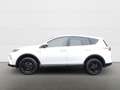 Toyota RAV 4 Hybrid 2.5 LED EL.HECKKLAPPE 360KAMERA SHZ Lenkrad Weiß - thumbnail 3